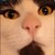Louie C